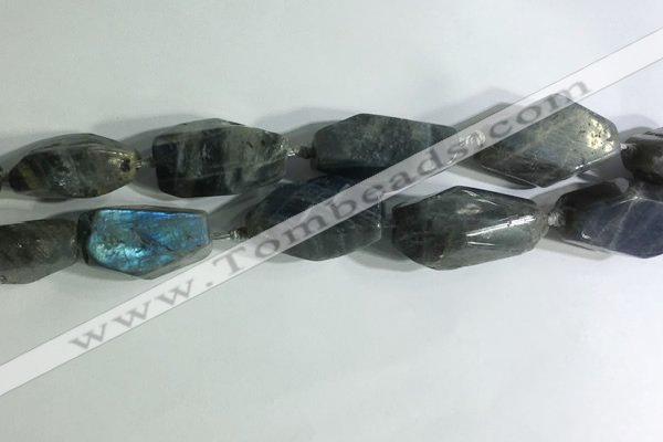 CNG7964 15.5 inches 15*25mm - 20*40mm nuggets labradorite beads