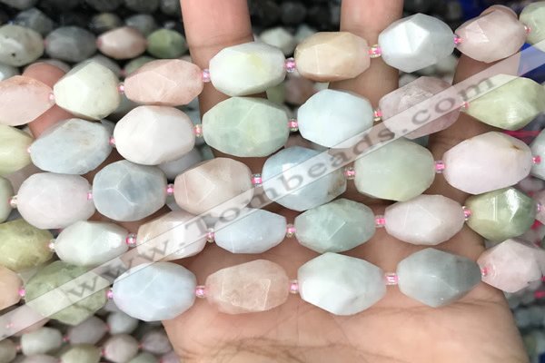 CNG8517 15.5 inches 13*17mm - 15*20mm faceted nuggets morganite beads