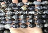 CNG8521 15.5 inches 10*16mm - 11*20mm faceted nuggets iolite beads