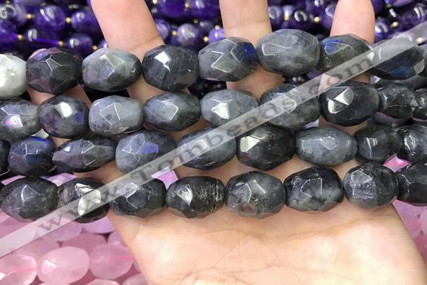 CNG8572 12*16mm - 15*20mm faceted nuggets labradorite beads