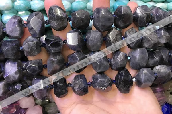 CNG8600 12*16mm - 13*18mm faceted nuggets labradorite beads