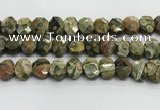 CNG8619 10*13mm - 12*16mm faceted freeform rhyolite beads