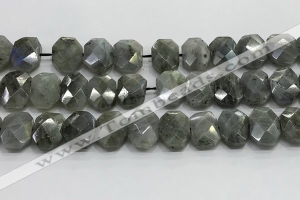 CNG8622 10*13mm - 12*16mm faceted freeform labradorite beads