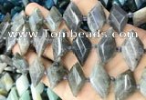 CNG8646 13*20mm - 15*25mm faceted freeform labradorite beads