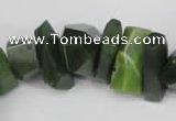 CNG869 15.5 inches 7*14mm – 13*25mm faceted nuggets Canadian jade beads