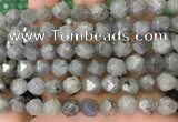 CNG8717 15.5 inches 10mm faceted nuggets labradorite gemstone beads