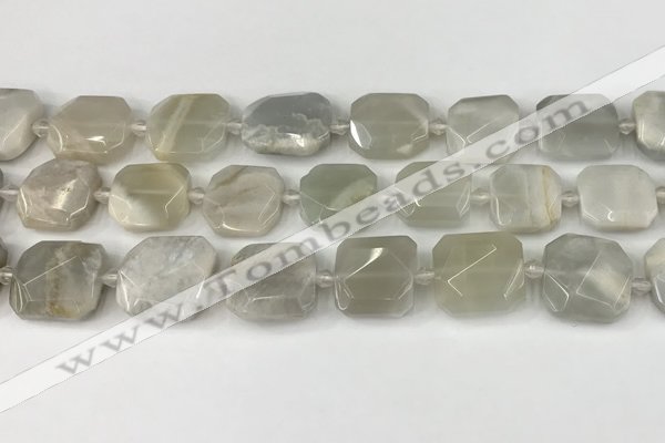 CNG8808 15.5 inches 16mm - 20mm faceted freeform moonstone beads