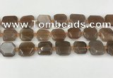 CNG8811 15.5 inches 16mm - 20mm faceted freeform moonstone beads