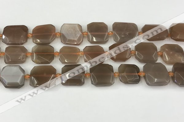 CNG8811 15.5 inches 16mm - 20mm faceted freeform moonstone beads