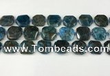 CNG8821 15.5 inches 16mm - 20mm faceted freeform apatite beads