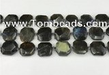 CNG8824 15.5 inches 16mm - 20mm faceted freeform labradorite beads