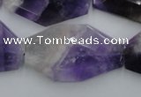 CNG893 15.5 inches 22*30mm faceted freeform dogtooth amethyst beads