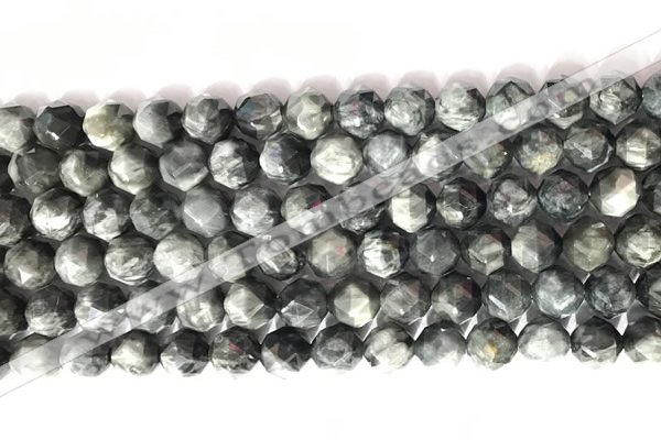 CNG9068 15.5 inches 8mm faceted nuggets eagle eye jasper gemstone beads