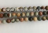 CNI372 15.5 inches 10mm round American picture jasper beads