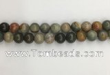 CNI373 15.5 inches 12mm round American picture jasper beads