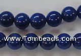 CNL217 15.5 inches 10mm round AAA grade natural lapis lazuli beads