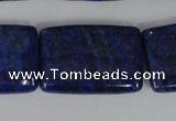 CNL537 15.5 inches 20*30mm rectangle natural lapis lazuli gemstone beads