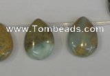 CNS200 Top-drilled 15*20mm flat teardrop natural serpentine jasper beads