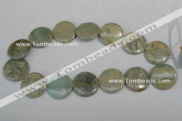 CNS235 15.5 inches 30mm flat round natural serpentine jasper beads