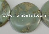 CNS236 15.5 inches 35mm flat round natural serpentine jasper beads