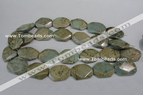 CNS263 15.5 inches 22*30mm octagonal natural serpentine jasper beads