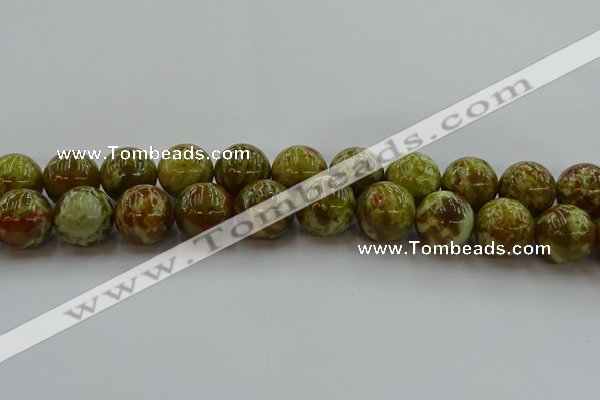 CNS608 15.5 inches 20mm round green dragon serpentine jasper beads