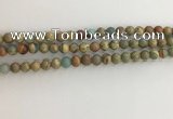 CNS701 15.5 inches 6mm round serpentine jasper beads wholesale