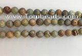 CNS703 15.5 inches 10mm round serpentine jasper beads wholesale