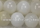 COP1590 15.5 inches 10mm round white opal gemstone beads