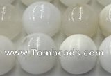 COP1733 15.5 inches 12mm round white opal beads wholesale