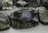 COP491 15.5 inches 20*30mm faceted rectangle natural grey opal beads