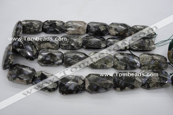 COP493 22*30mm faceted & twisted rectangle natural grey opal beads