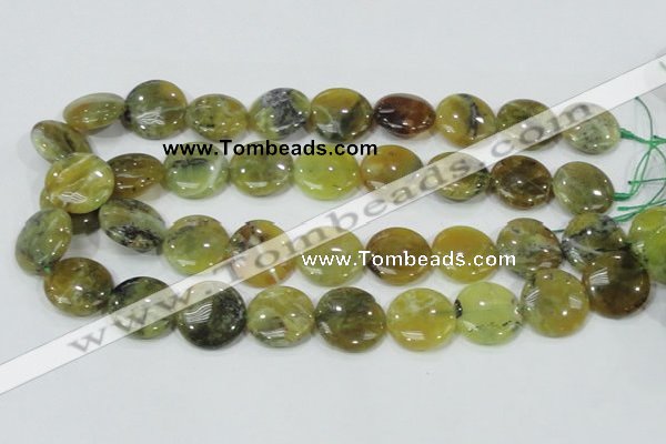 COP553 15.5 inches 20mm flat round yellow & green natural opal beads