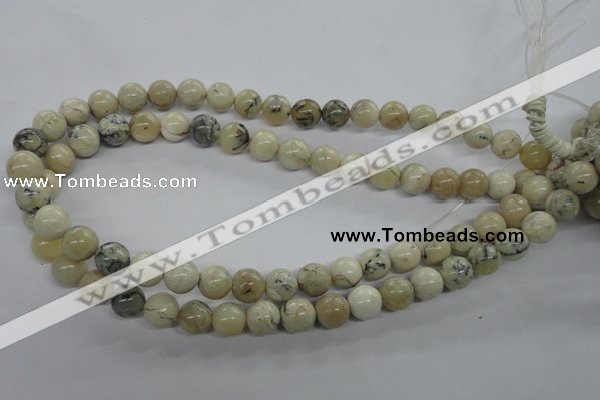 COP803 15.5 inches 10mm round natural African opal beads