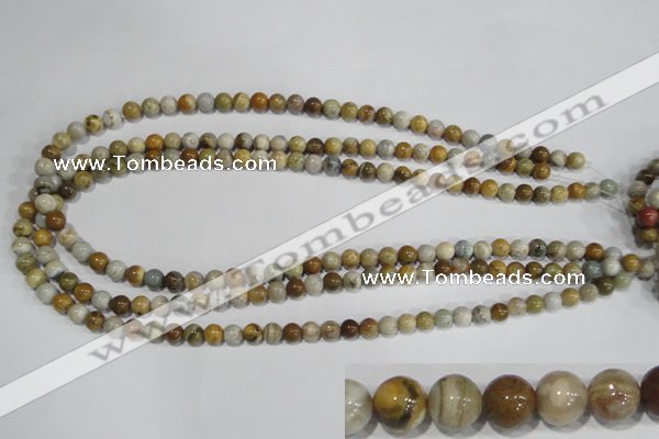 COS161 15.5 inches 6mm round ocean stone beads wholesale