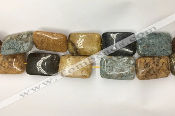 COS255 15.5 inches 18*25mm rectangle ocean stone beads wholesale