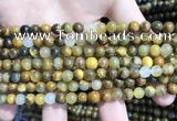 CPB1050 15.5 inches 4mm round golden pietersite beads wholesale