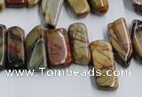 CPJ375 15.5 inches 8*14mm - 10*30mm picasso jasper chips beads