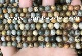 CPJ707 15.5 inches 6mm round rocky butte picture jasper beads