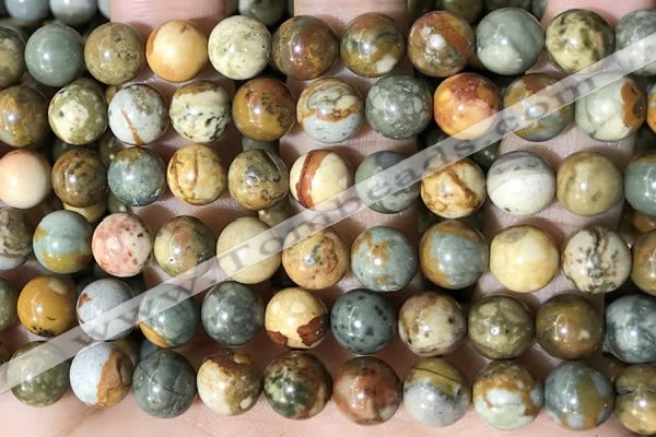 CPJ710 15.5 inches 12mm round rocky butte picture jasper beads