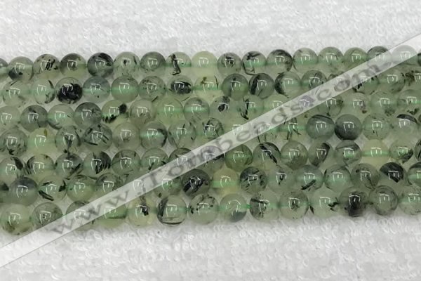 CPR390 15.5 inches 6mm round prehnite beads wholesale