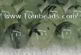 CPR391 15.5 inches 8mm round prehnite beads wholesale