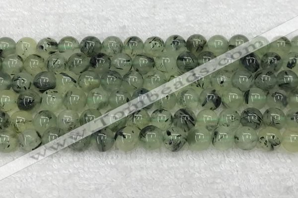 CPR391 15.5 inches 8mm round prehnite beads wholesale