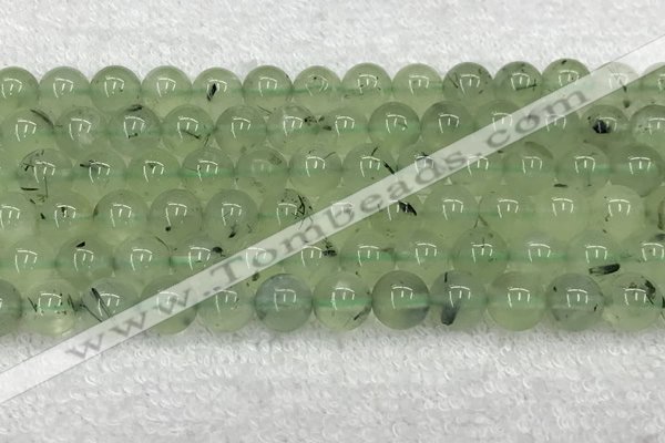 CPR397 15.5 inches 10mm round prehnite gemstone beads