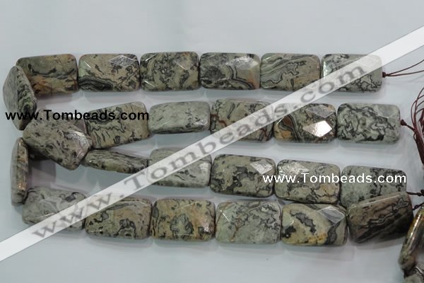 CPT131 15.5 inches 20*30mm faceted rectangle grey picture jasper beads