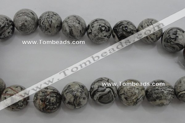 CPT193 15.5 inches 20mm round grey picture jasper beads wholesale