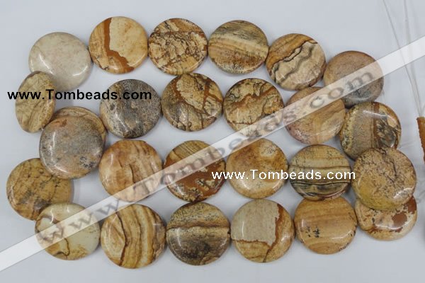 CPT260 15.5 inches 30mm flat round picture jasper beads wholesale