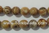 CPT453 15.5 inches 10mm round picture jasper beads wholesale