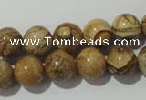 CPT454 15.5 inches 12mm round picture jasper beads wholesale