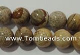 CPT455 15.5 inches 14mm round picture jasper beads wholesale